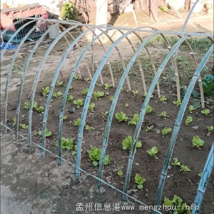 4米长竹片，1元一根，可以搭小棚。